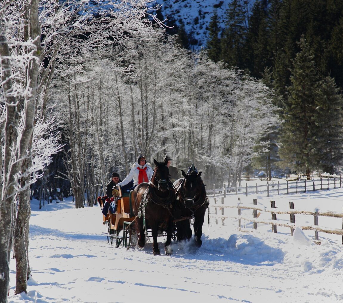 Pferdeschlittenfahrt im Großarltal