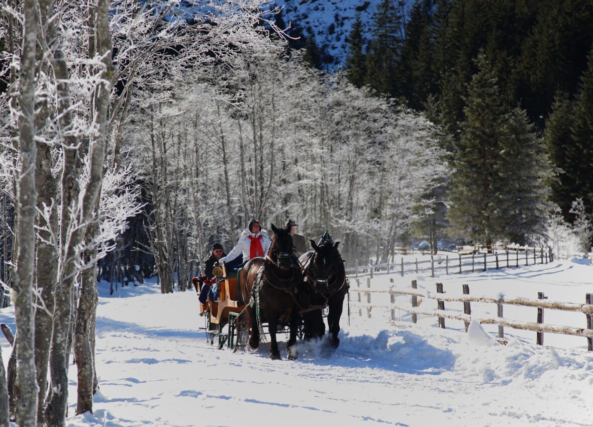 Horse drawn sleigh rides