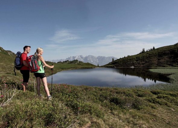 Wandern rund ums Feriendorf Holzleb'n