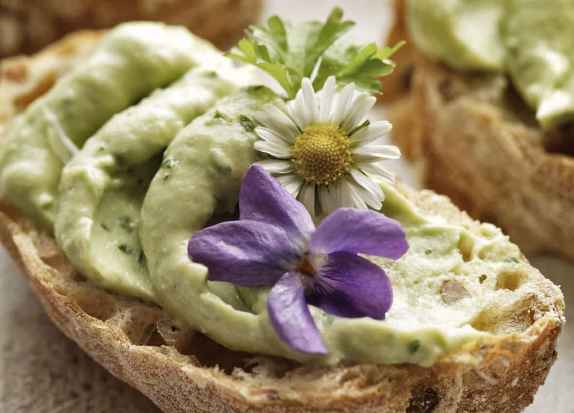 Sandwiches with avocado paste with the addition of edible flowers