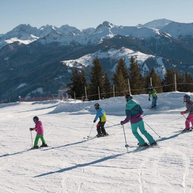 Skifahren in Großarl