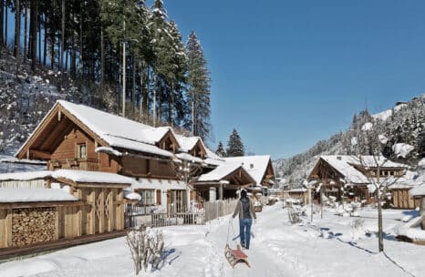 Feriendorf Holzleb'n im Winterurlaub