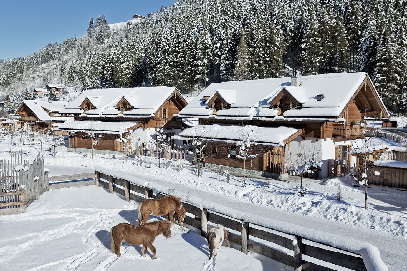 Holidays in a chalet in winter