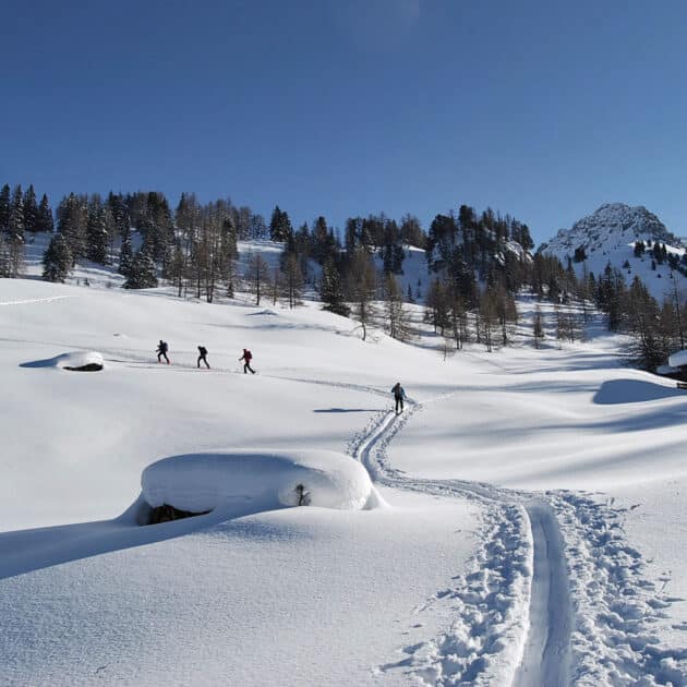 Skitouren in Großarl