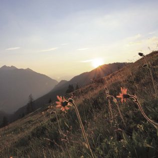 Feriendorf Holzleb'n Umgebung Feriendorf Holzleb'n Umgebung