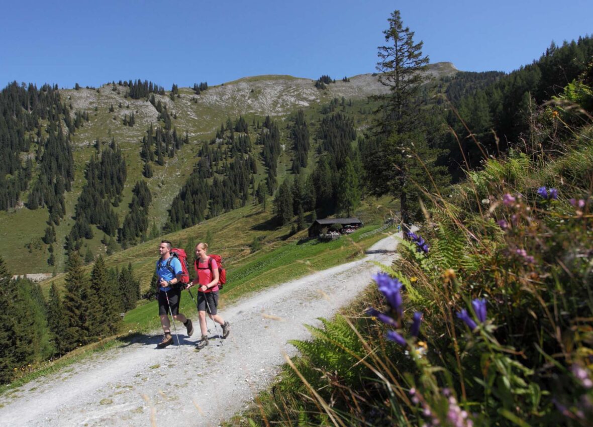 Nordic Walking in Großarl