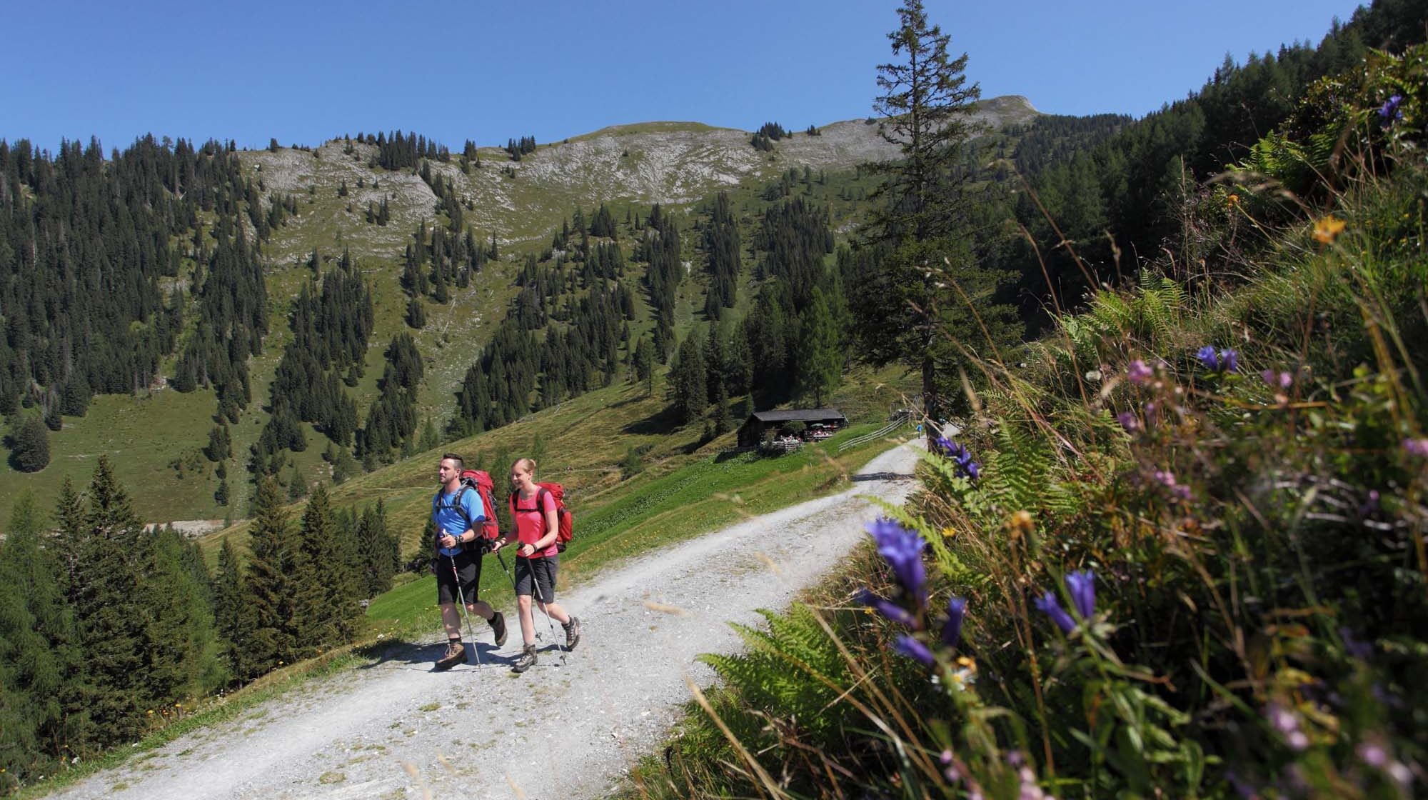 Nordic Walking in Großarl