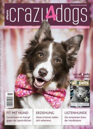 Crazy4dogs