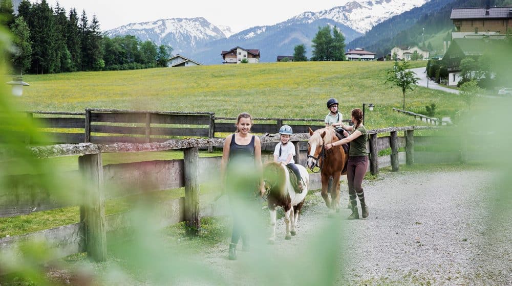 Unsere Reitbahn befindet sich direkt im Feriendorf
