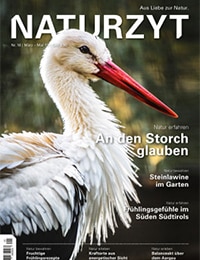 NATURZYT