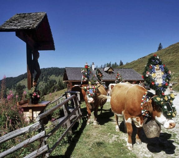 Almabtrieb beim Bauernherbst, Salzburgerland