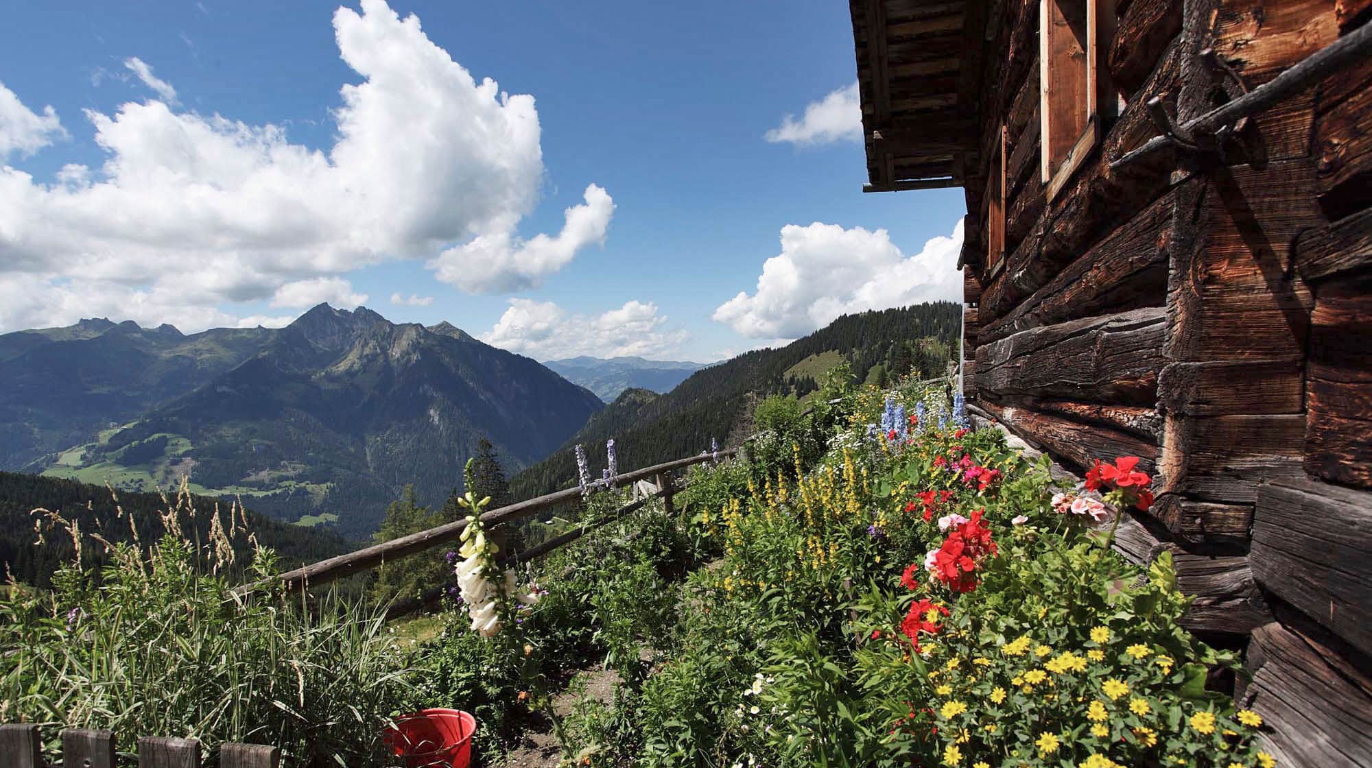 Almhütte im Großarltal, Salzburgerland