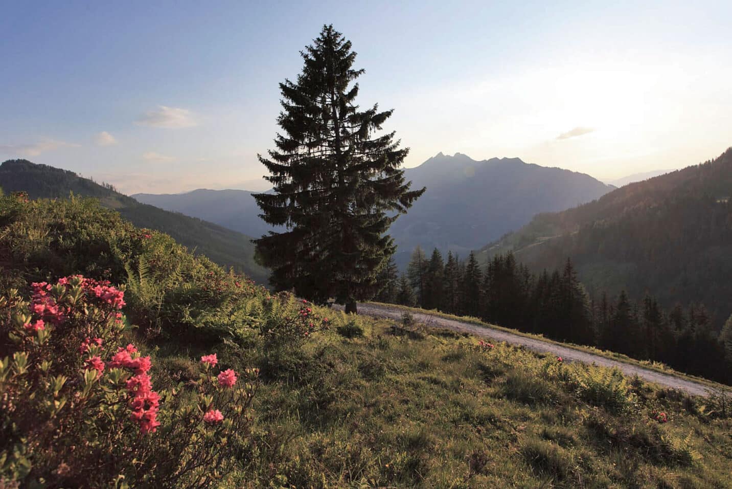 Salzburgerland - Hiking holidays