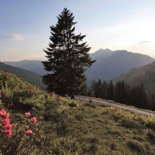 Salzburgerland - Hiking holidays