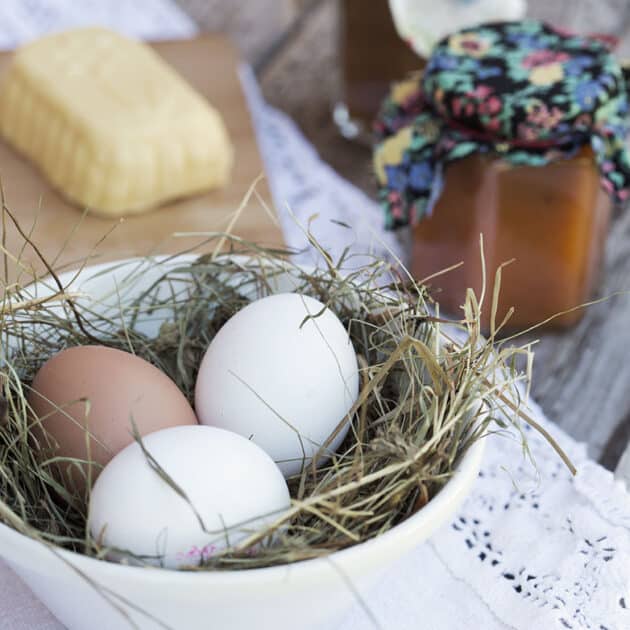 Frische Eier aus dem Nest