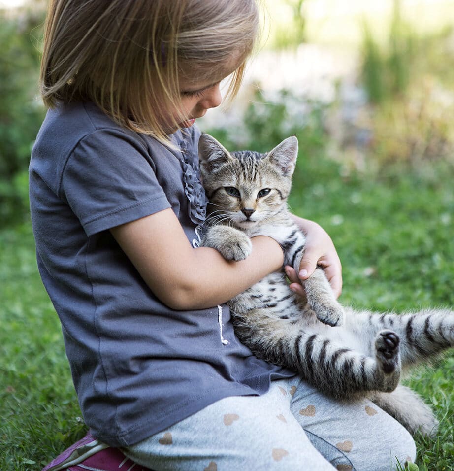 Holzlebn petting cat