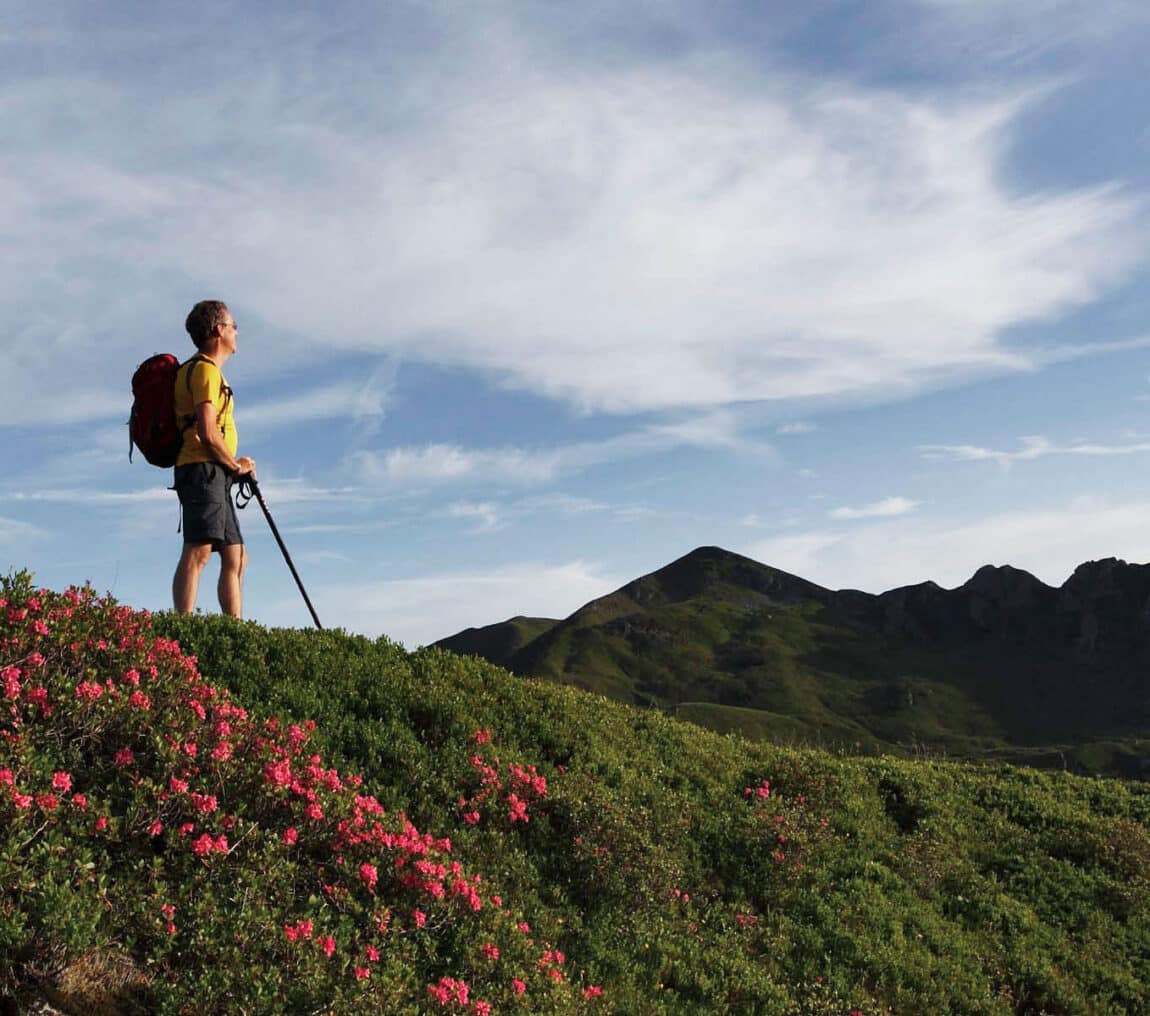 Hiking & Nordic Walking