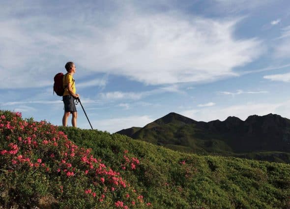 Hiking & Nordic Walking Hiking & Nordic Walking