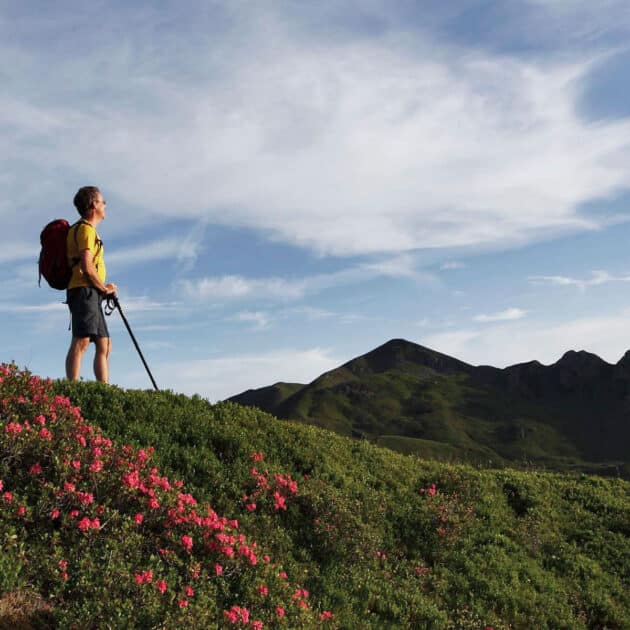 Wandern im Großarltal