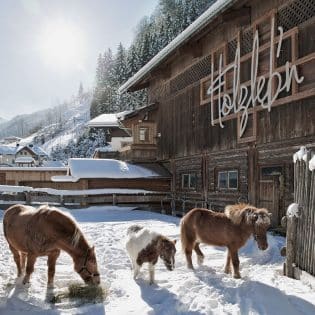 Holzlebn horses winter