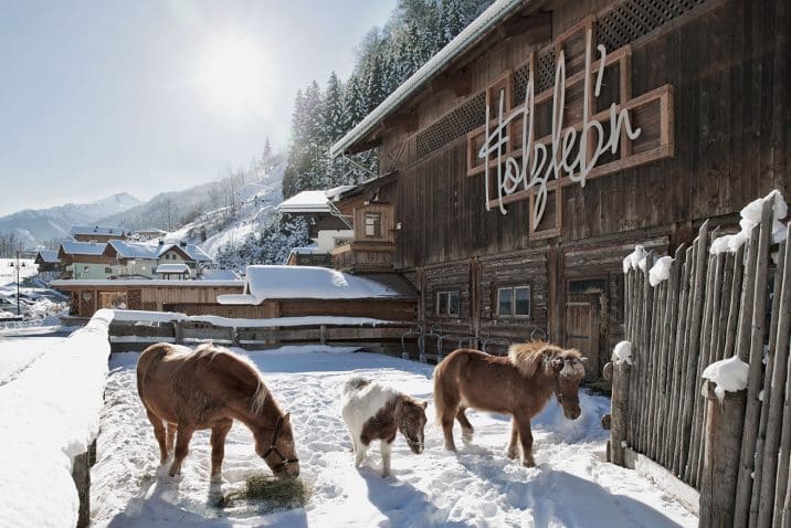 Holzlebn horses winter