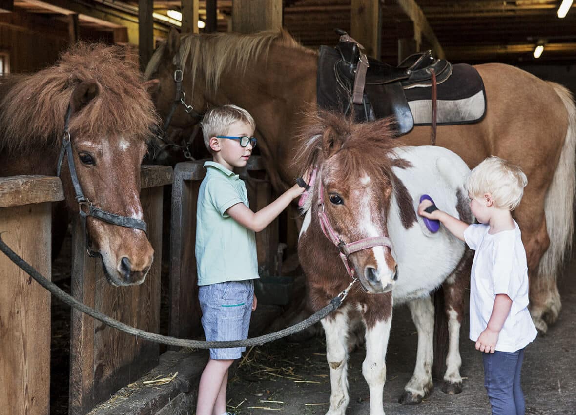 Pferde putzen und striegeln im Bauernhofurlaub