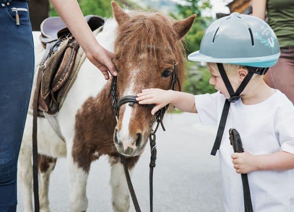 Holzlebn pony riding Holzlebn pony riding