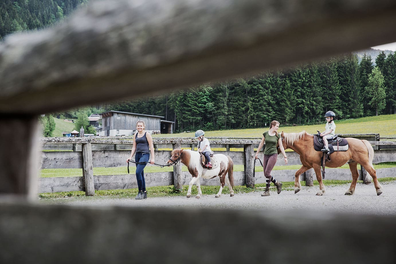 Horse riding for children in your holidays