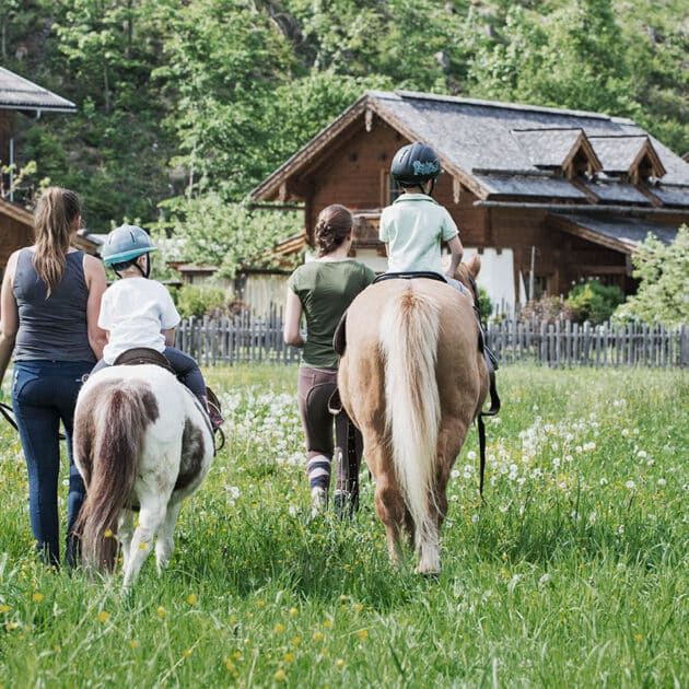 Holzlebn horse and pony riding