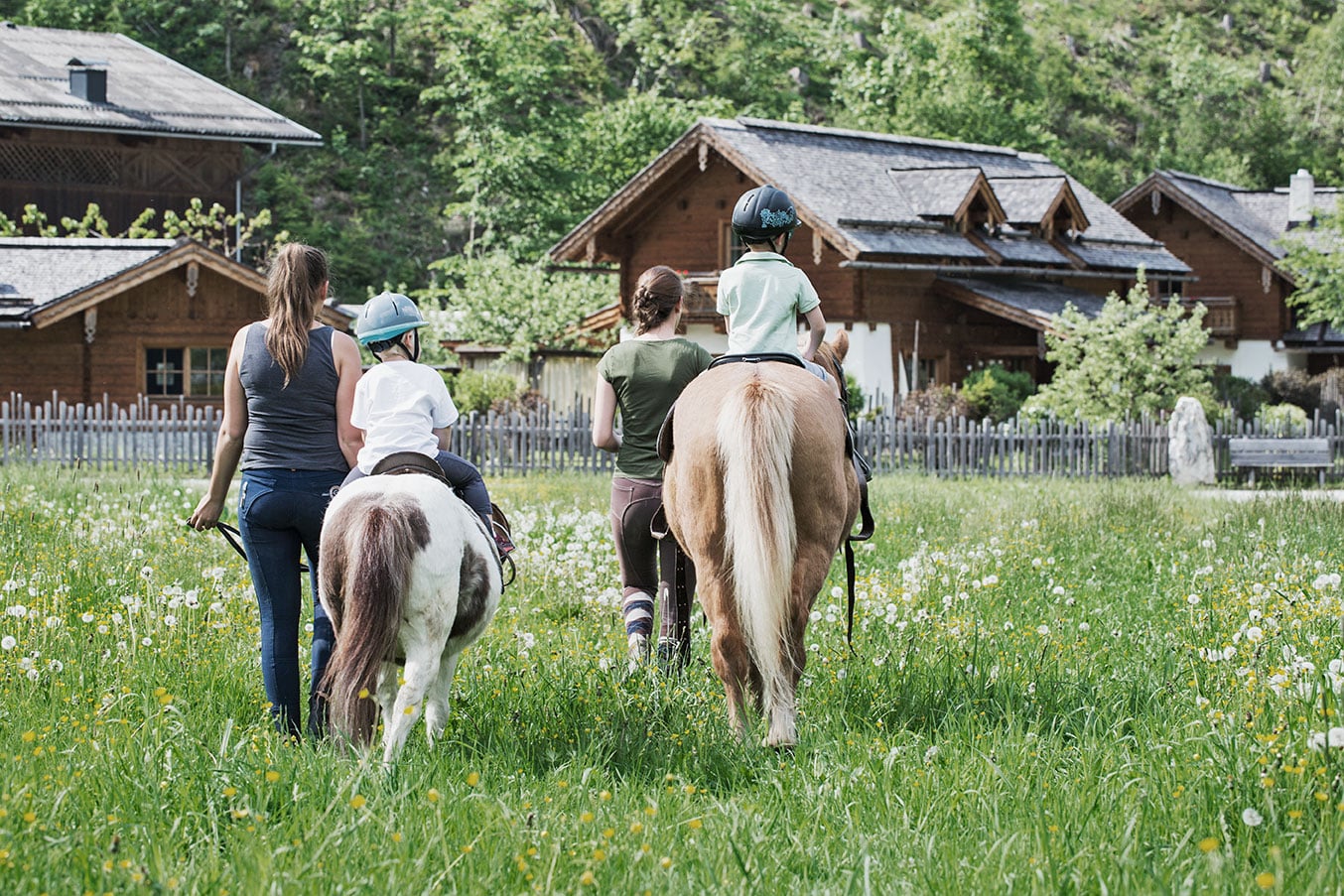 Holzlebn horse and pony riding