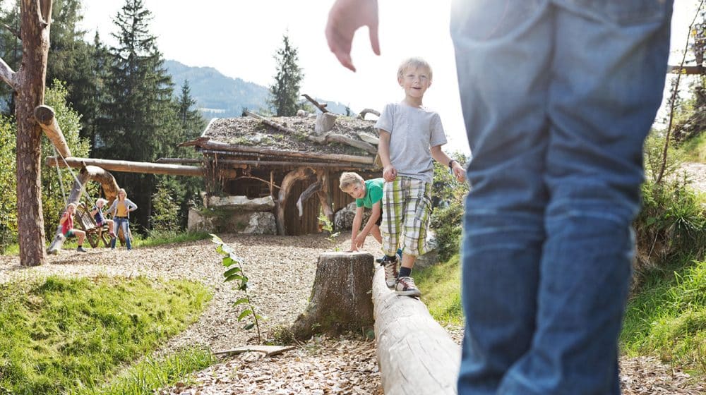Playground in the forest