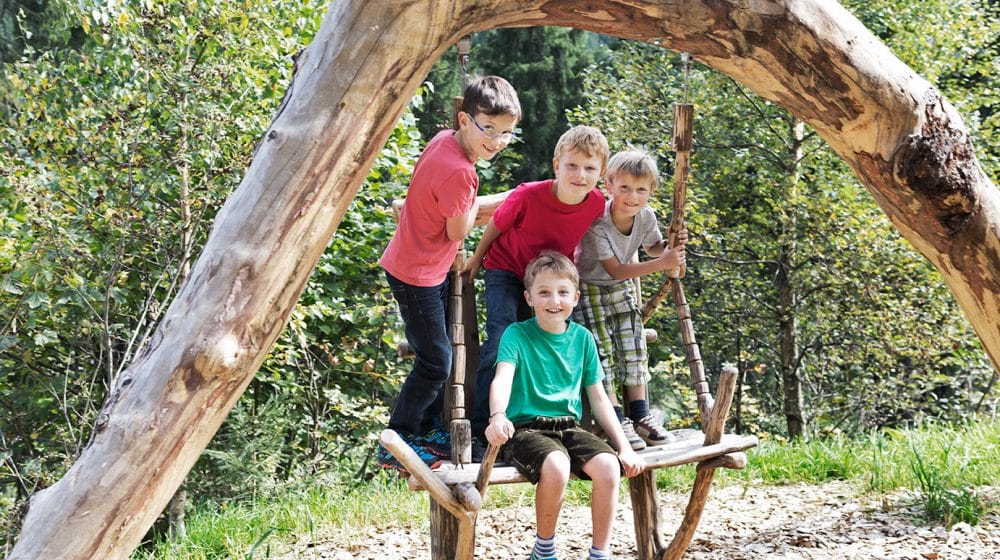 Playground in the forest
