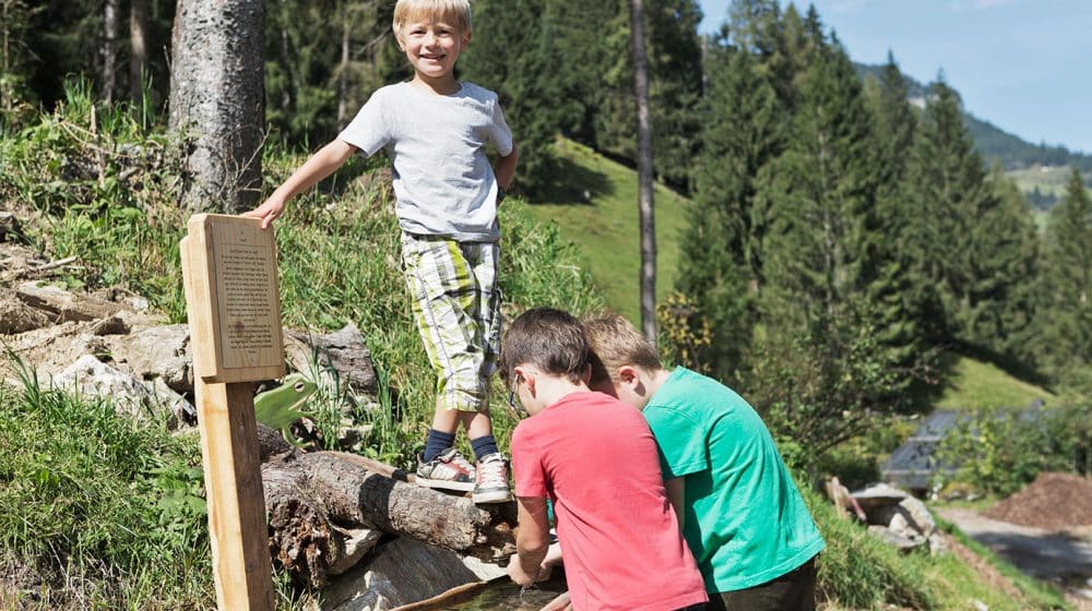 Playground in the forest