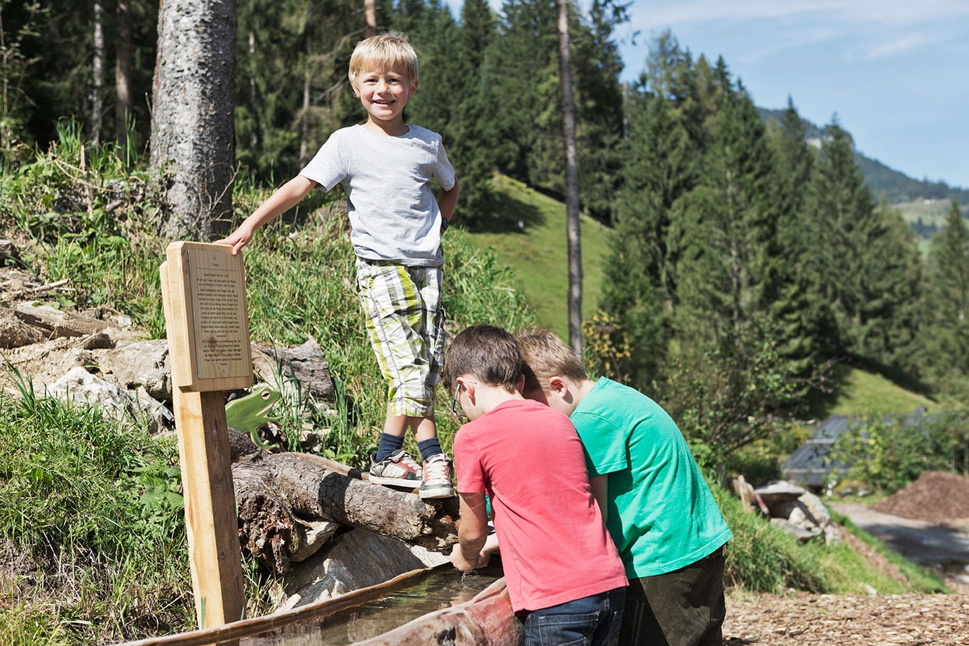 Playground in the forest