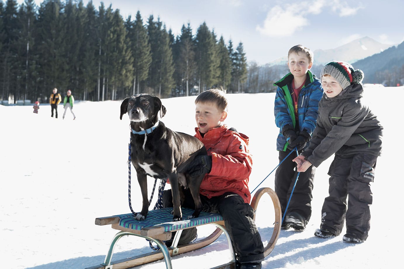 Rodeln im Familienurlaub mit Hund