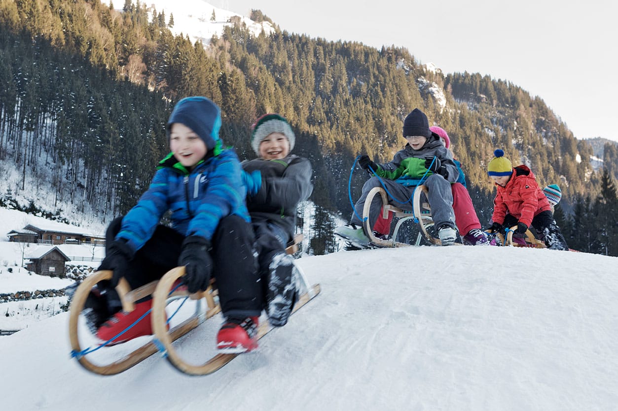 Holzlebn Sledding