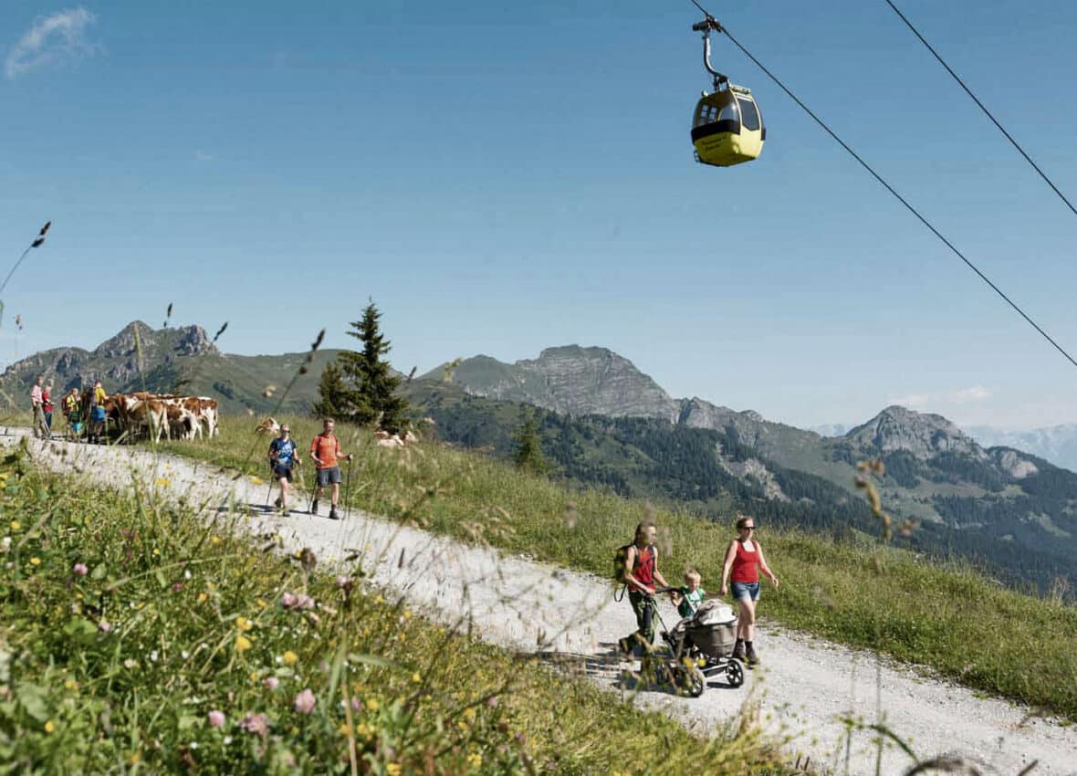 Buggy Walks in Grossarltal