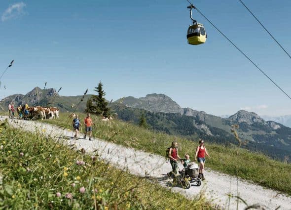 Buggy Walks in Grossarltal Buggy Walks in Grossarltal