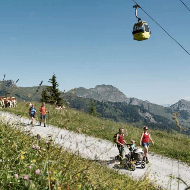 Kinderwagen Wandern Großarl