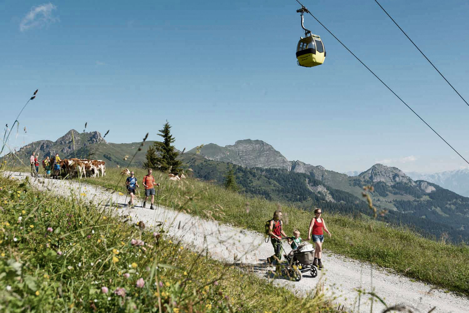 Kinderwagen Wandern Großarl