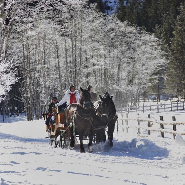 a romantic sleigh ride