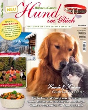 Hund im Glück