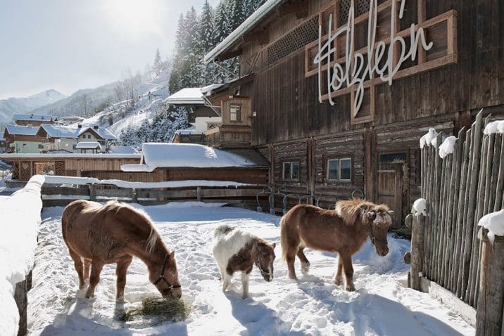 Ponys-Winter-1300x750