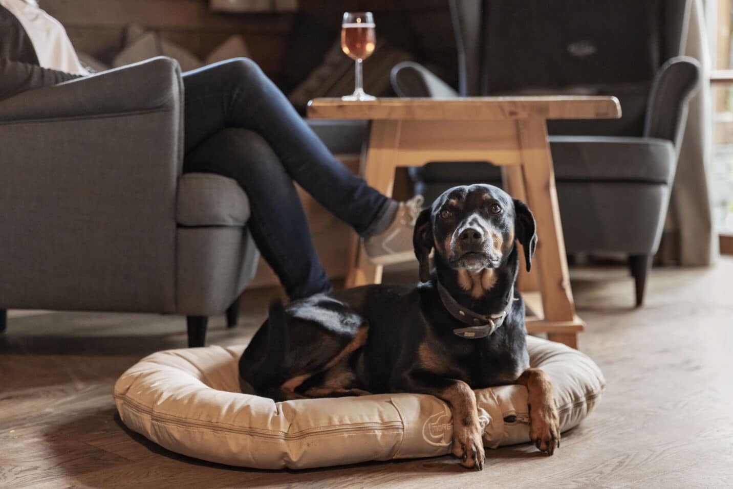 Urlaub mit Hund im Chalet in Großarl