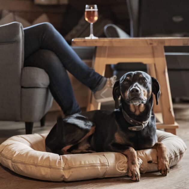 Urlaub mit Hund im Chalet in Großarl