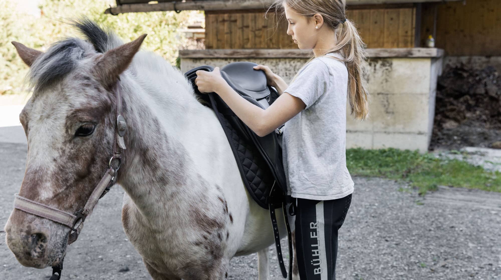 Reiten und Reitunterricht im Holzleb´n