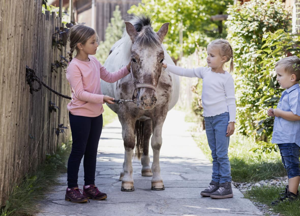 Reiten für Kinder im Feriendorf Holzleb'n