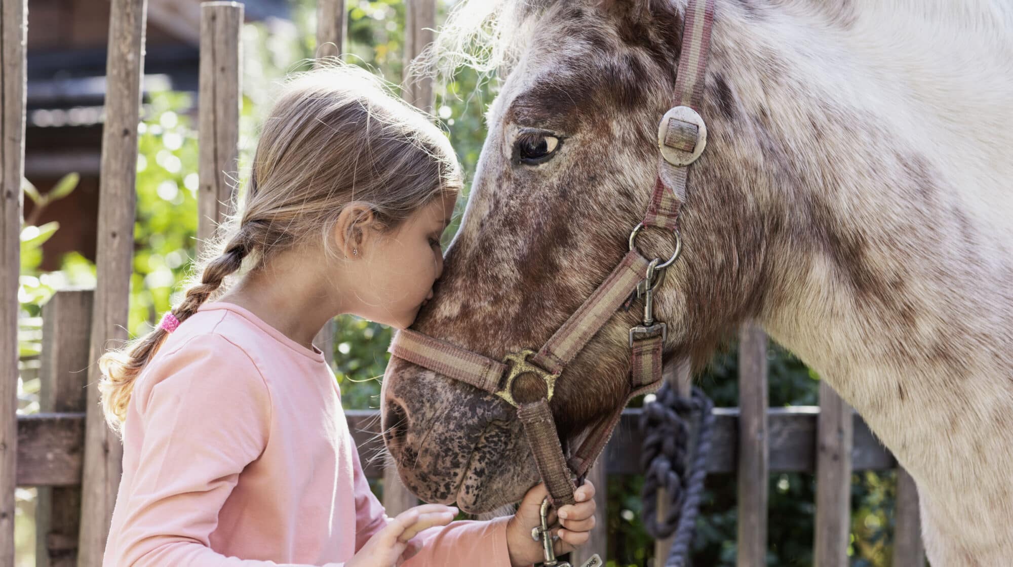 Horse riding during your holidays in Salzburg