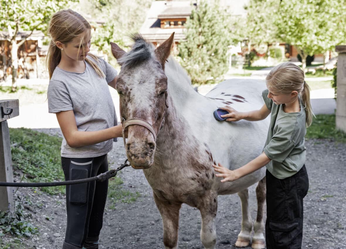 Horse riding during your holidays in Salzburg