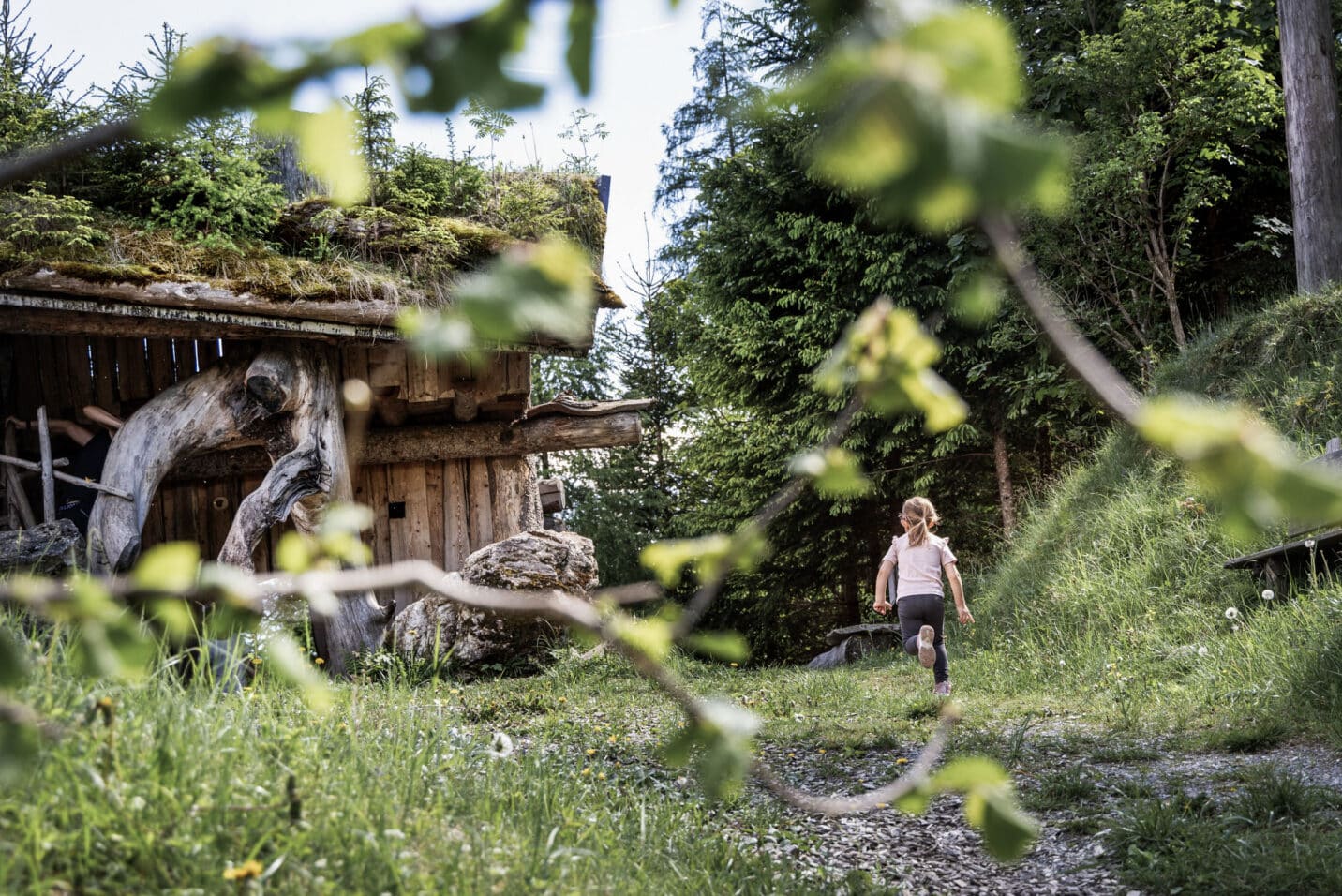 Woodis Welt mit Waldlehrpfad